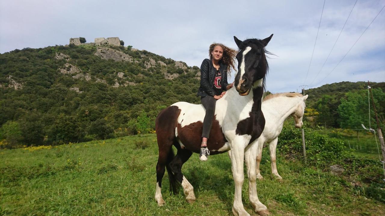 Gites A La Ferme - Hautes-Corbieres Termes Exterior photo