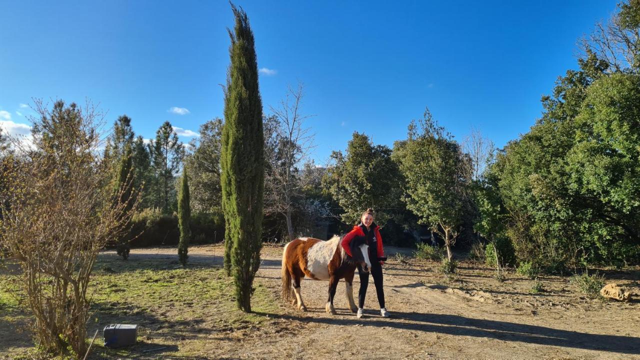 Gites A La Ferme - Hautes-Corbieres Termes Exterior photo