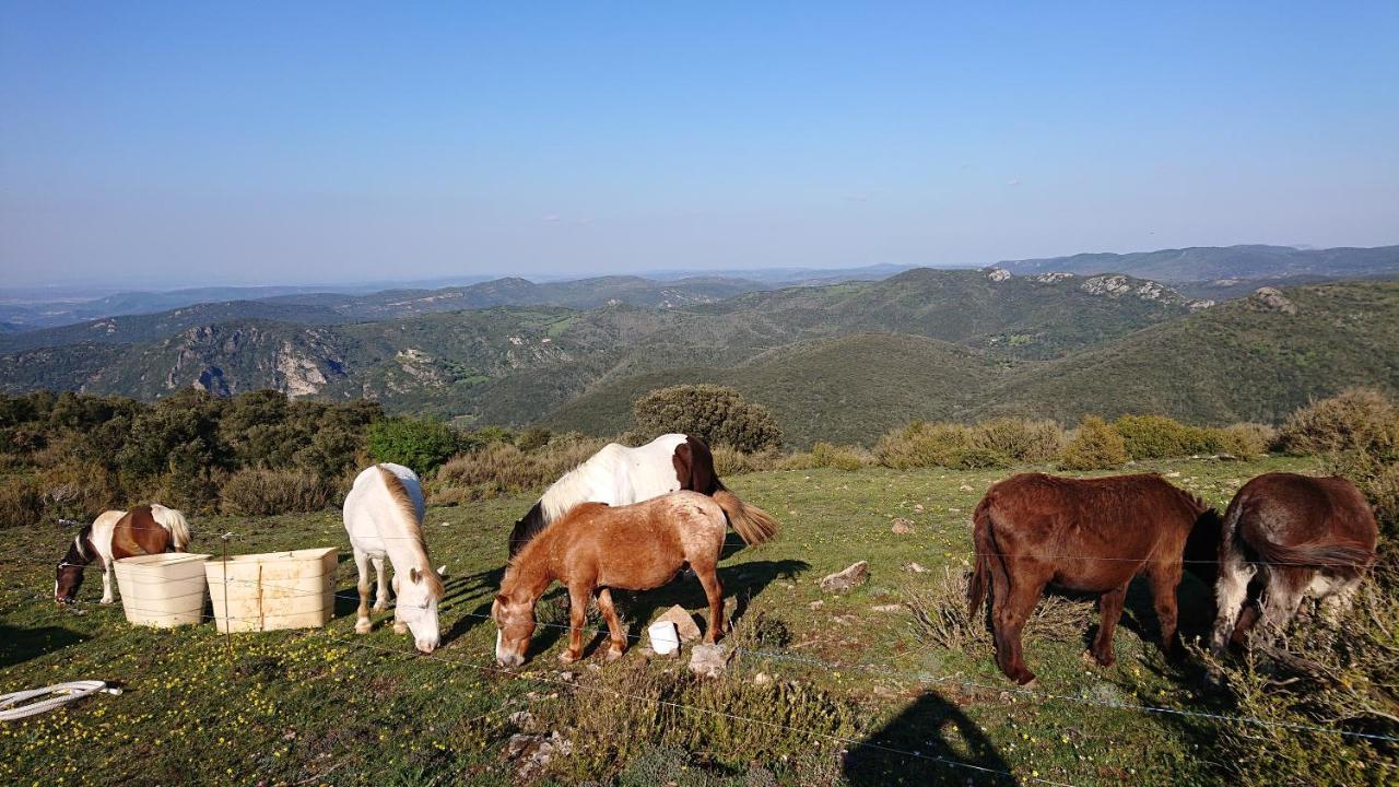 Gites A La Ferme - Hautes-Corbieres Termes Exterior photo